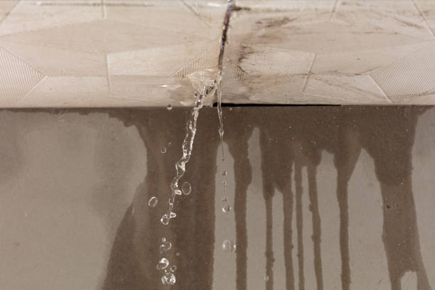 Professional Water Damage Restoration technician working in Tracy City, TN